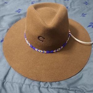 Charlie 1 horse acorn gypsy hat